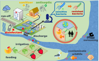 Disinfection spreads antimicrobial resistance