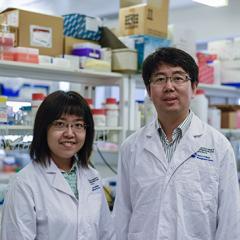 Image: Dr Yue Wang (left) and Professor Jianhua Guo (right)
