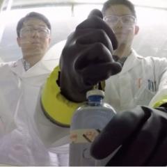 Dr Jianhua Guo (left) and PhD student Ji Lu conducting experiments using triclosan